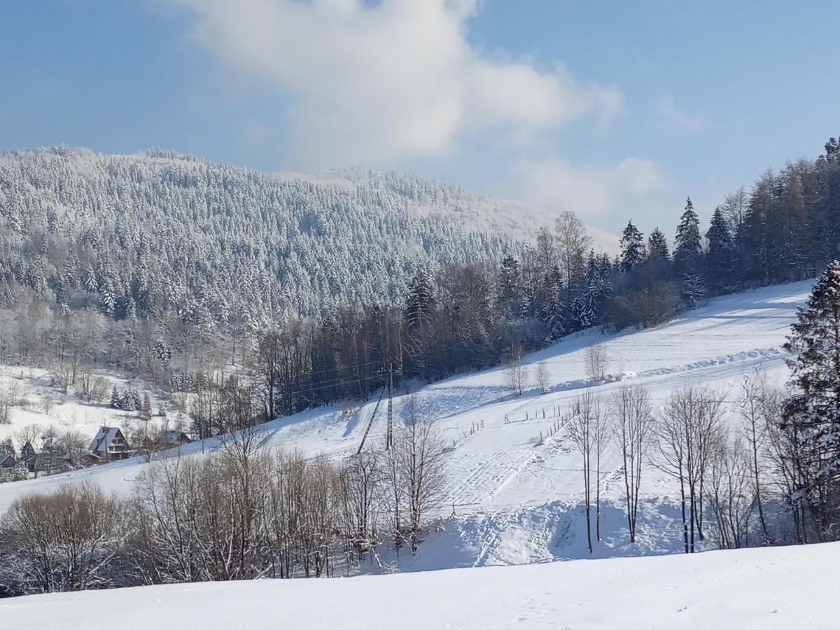 Вилла Dom W Gorach Przy Szlaku Bystra  Экстерьер фото