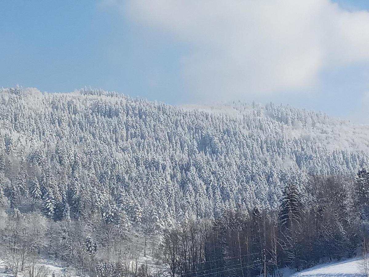 Вилла Dom W Gorach Przy Szlaku Bystra  Экстерьер фото